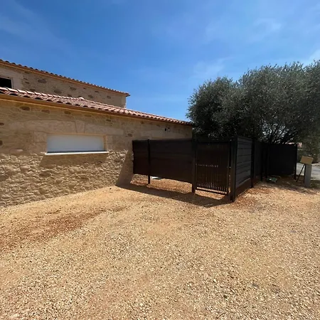 Des Diligences Saint-Brès